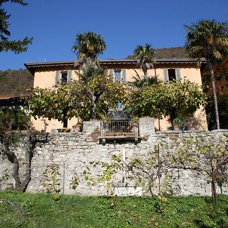 Antico Glicine *
