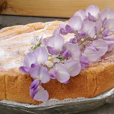 Antico Glicine Maslianico